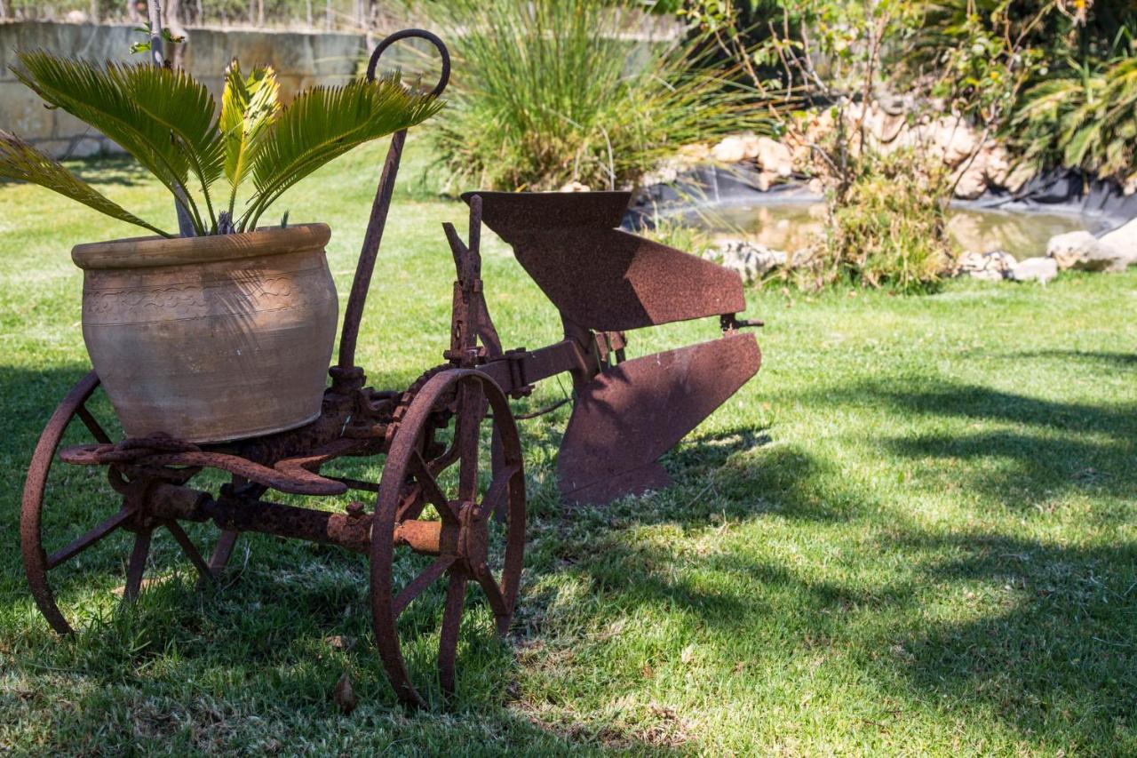 Es Raiguer Villa Caimari Dış mekan fotoğraf